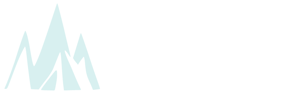 vinson.ai logo